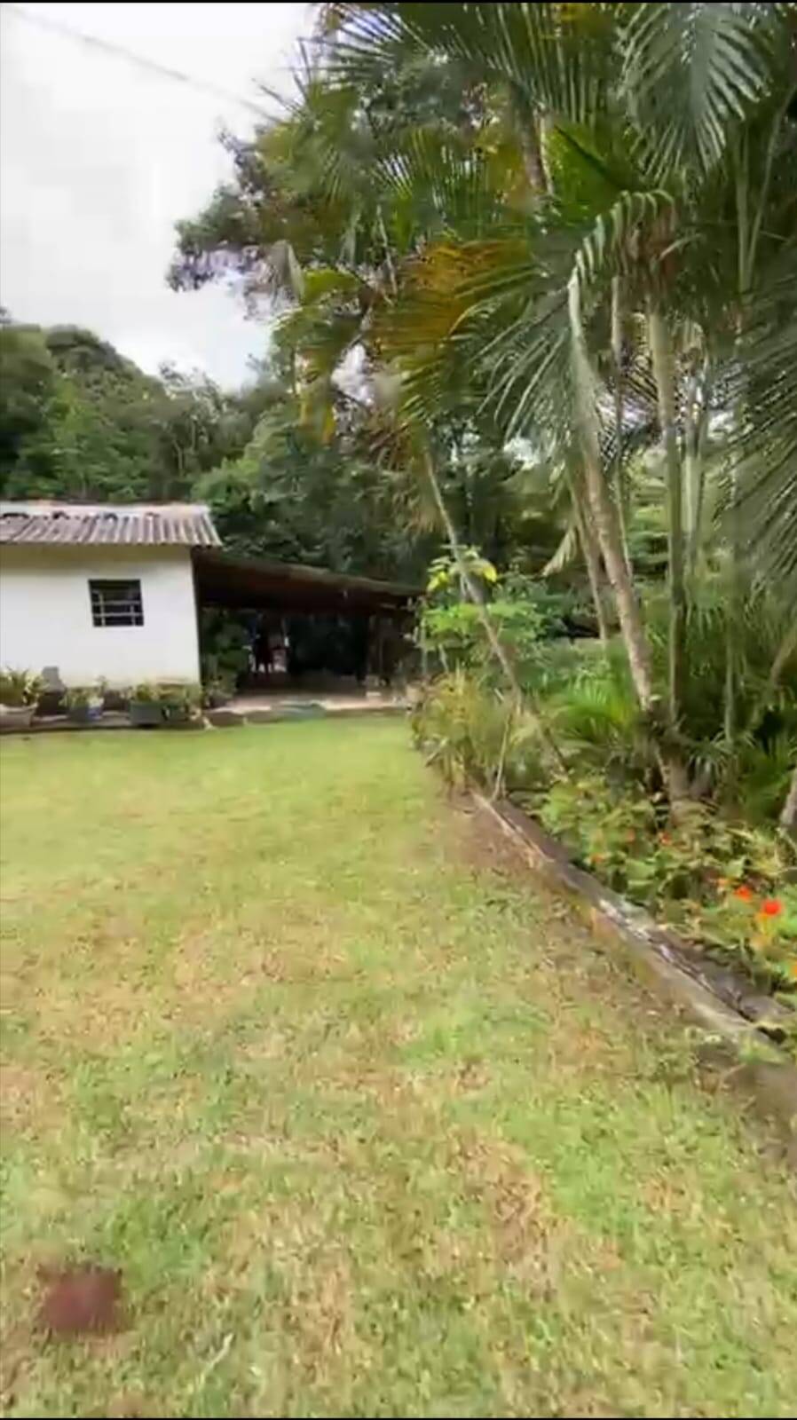 Casa à venda com 3 quartos, 7800m² - Foto 13