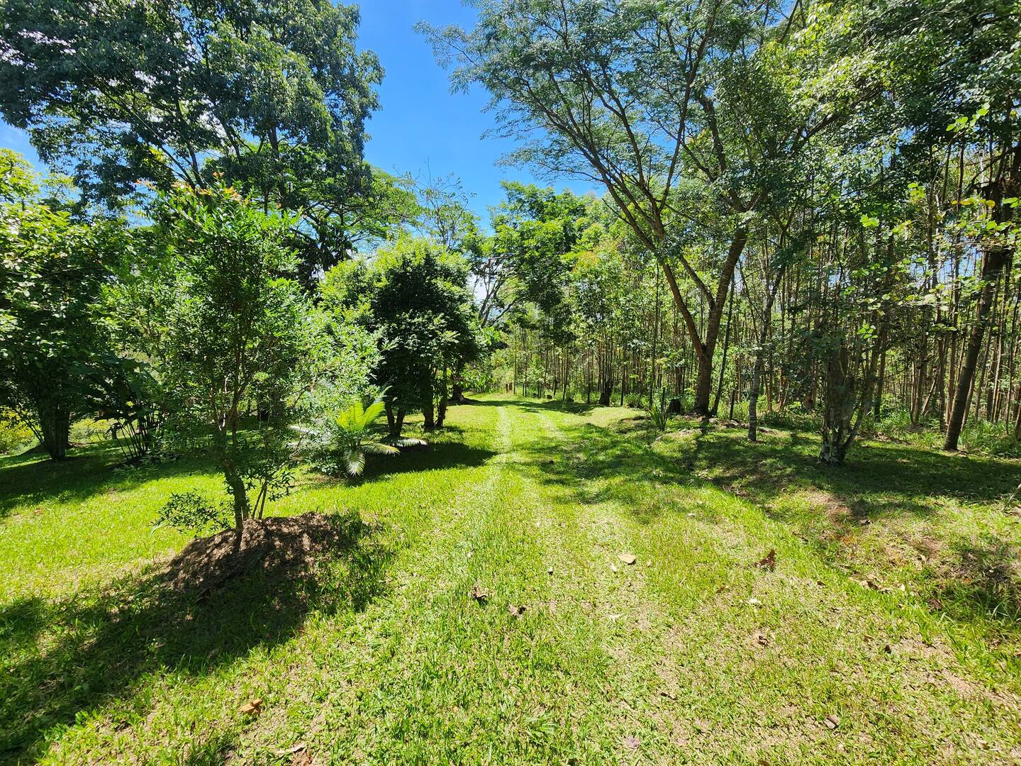 Fazenda à venda com 3 quartos, 49m² - Foto 6