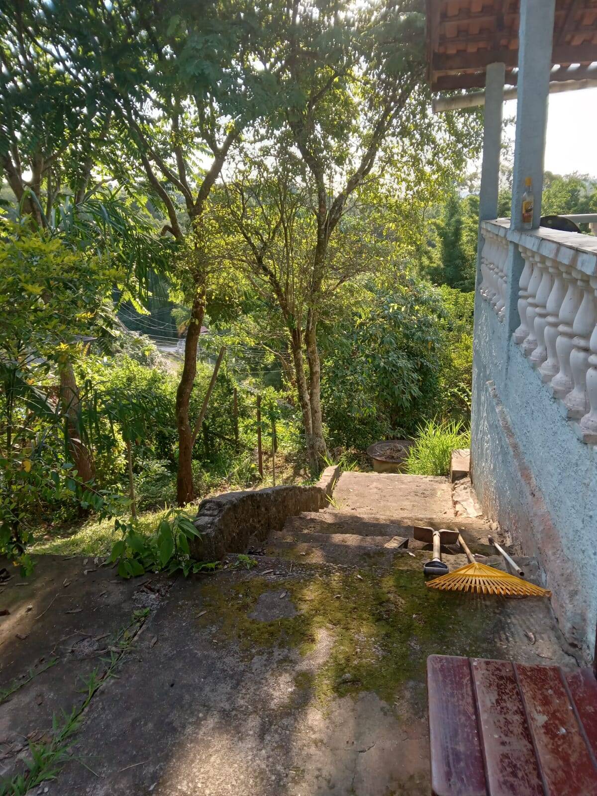 Fazenda à venda com 3 quartos, 2300m² - Foto 23