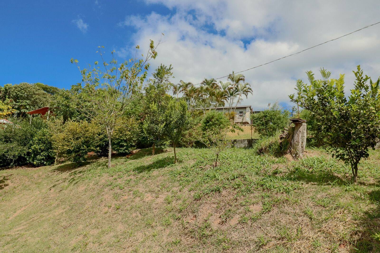 Fazenda à venda com 3 quartos, 187m² - Foto 13