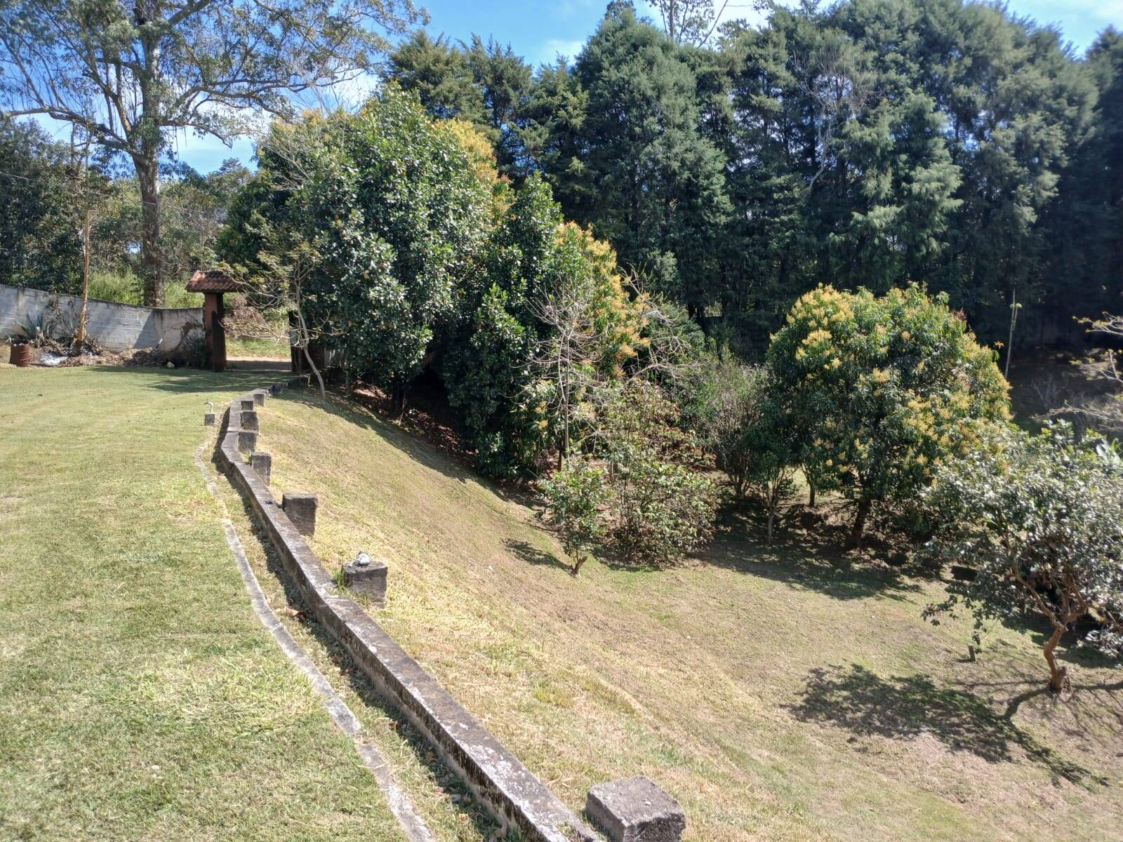 Fazenda à venda com 5 quartos, 5000m² - Foto 24