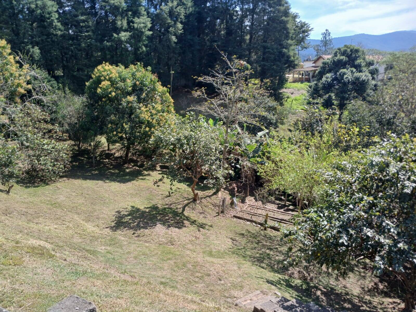 Fazenda à venda com 5 quartos, 5000m² - Foto 23