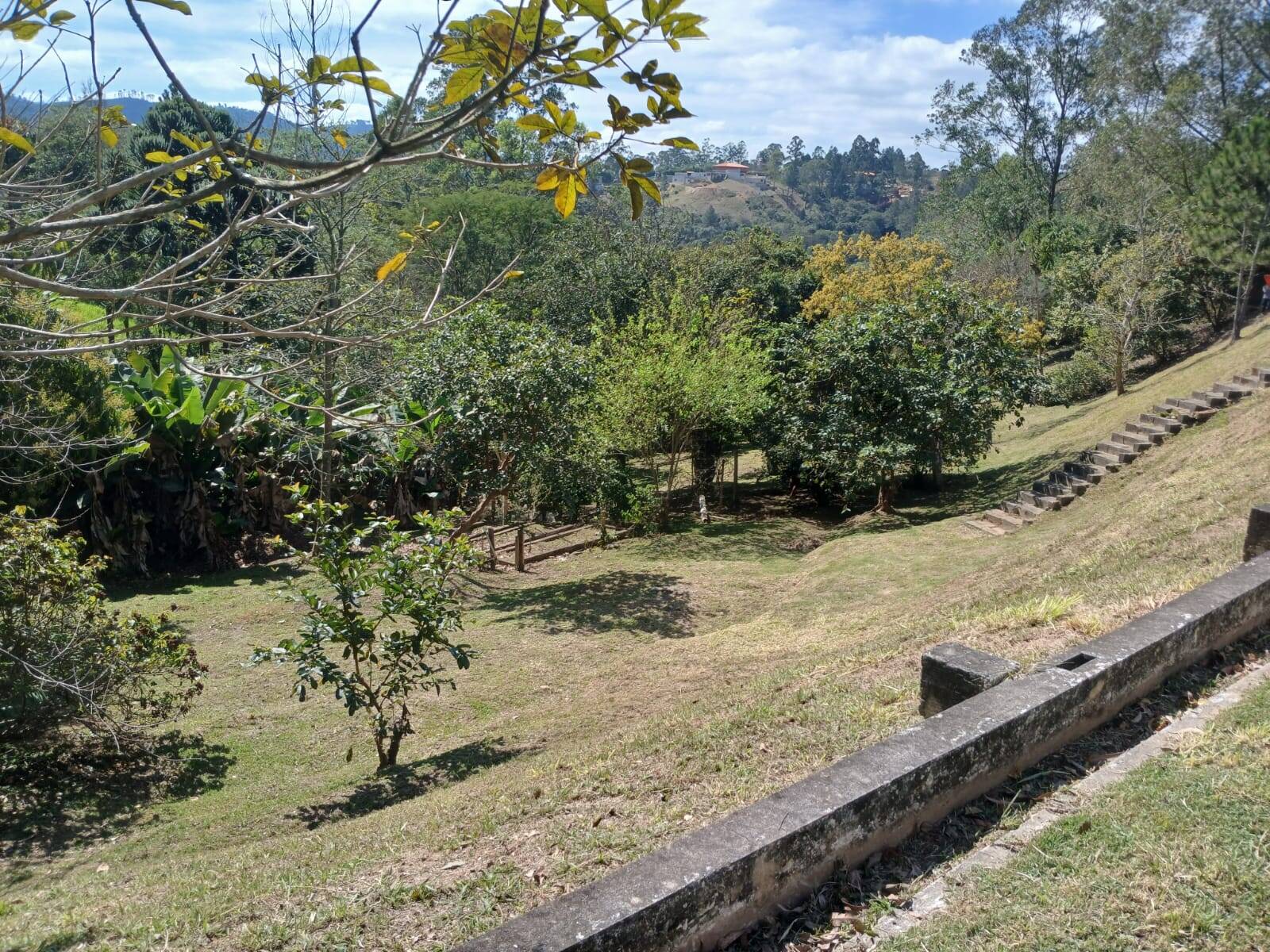 Fazenda à venda com 5 quartos, 5000m² - Foto 25