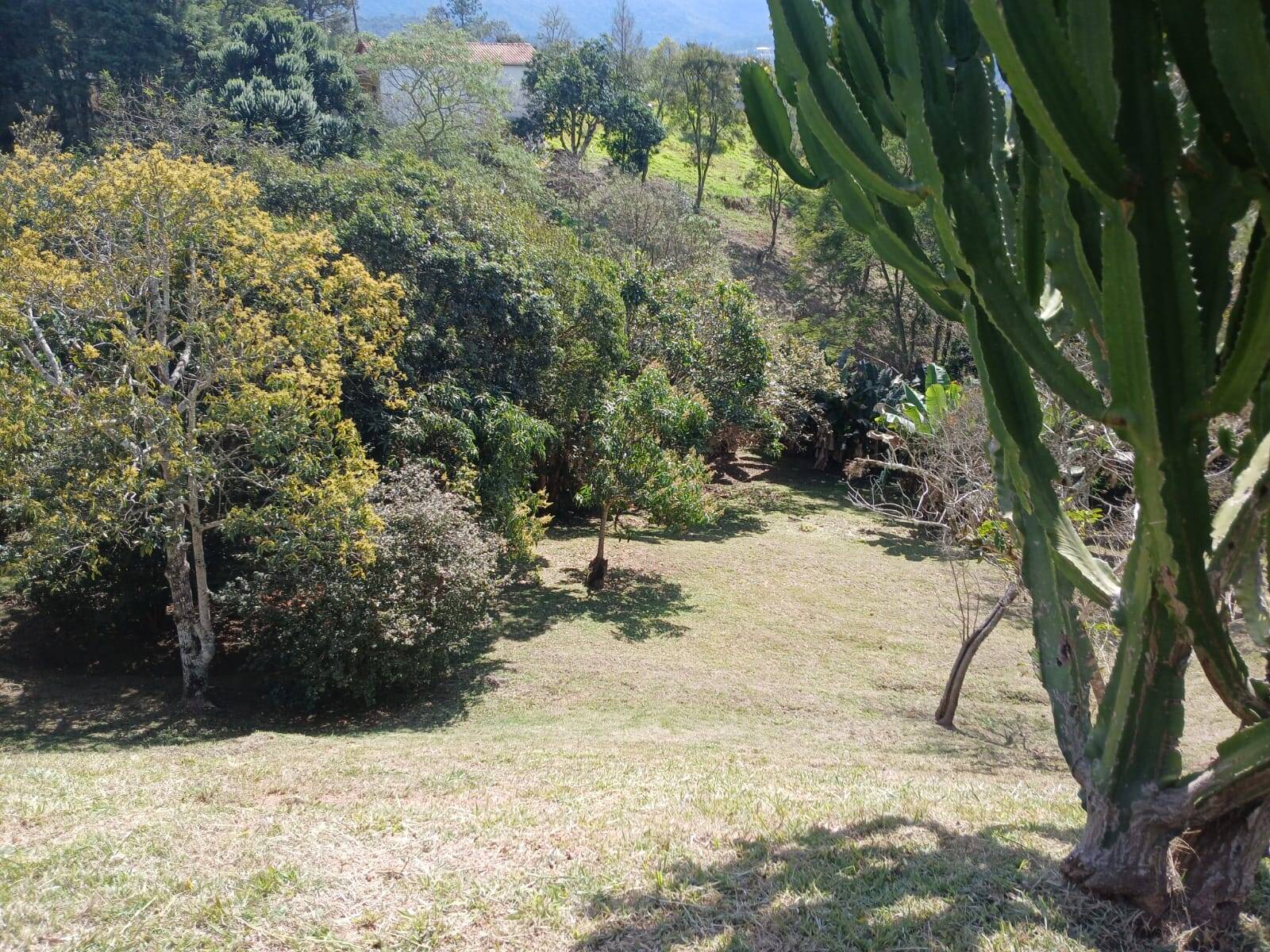 Fazenda à venda com 5 quartos, 5000m² - Foto 27