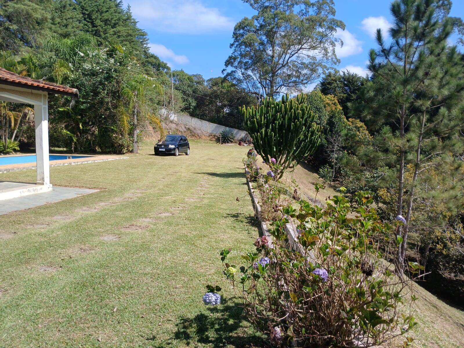 Fazenda à venda com 5 quartos, 5000m² - Foto 31