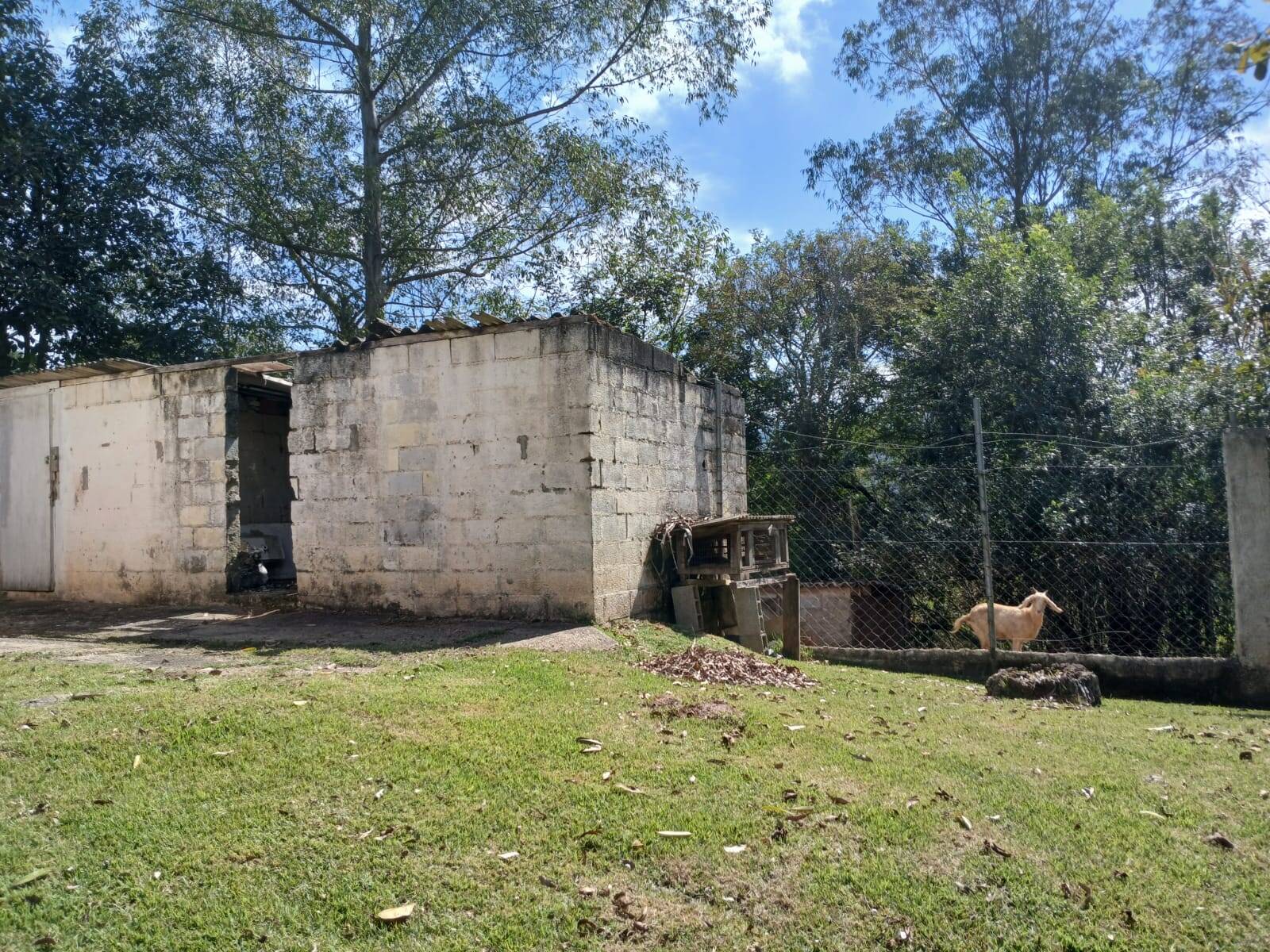 Fazenda à venda com 5 quartos, 5000m² - Foto 33