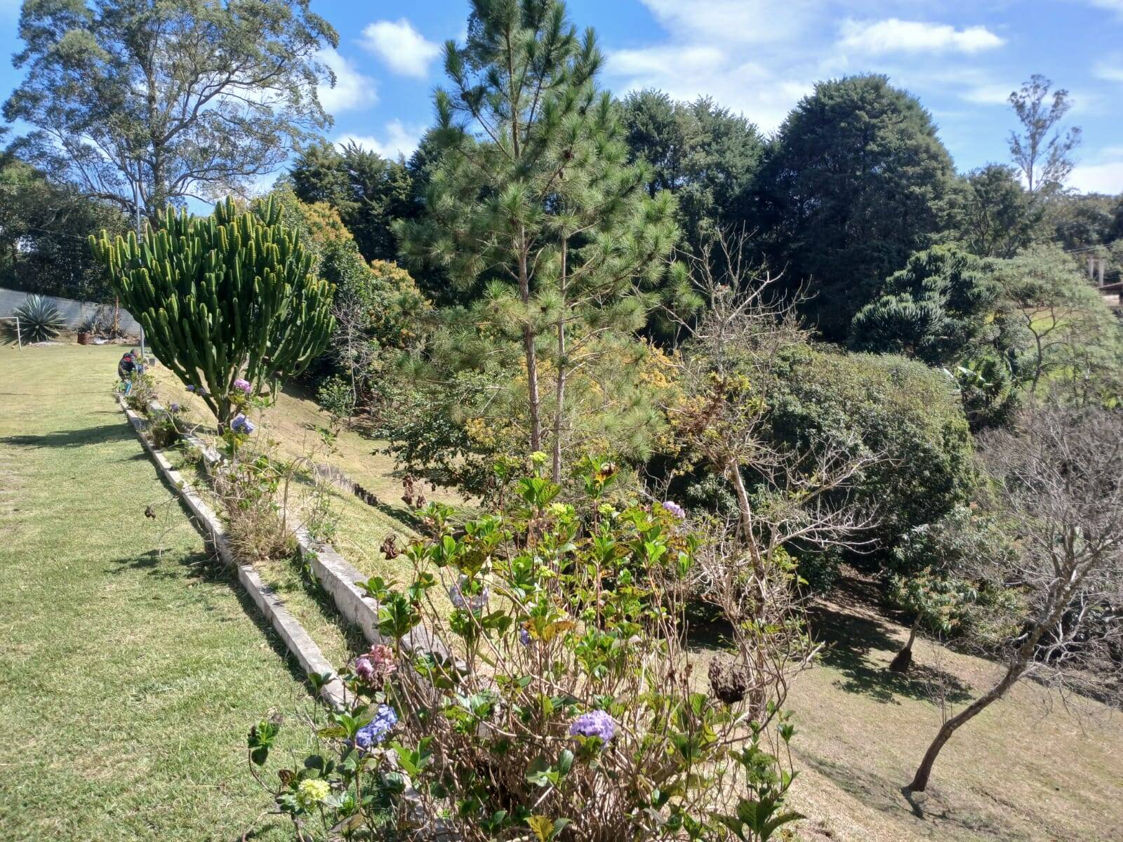 Fazenda à venda com 5 quartos, 5000m² - Foto 35