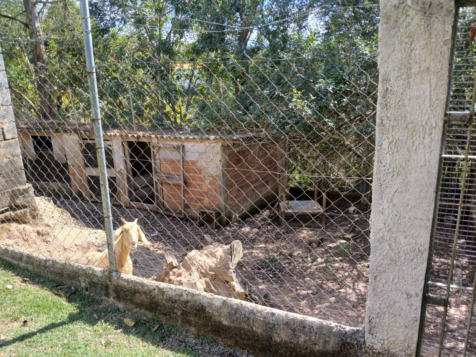 Fazenda à venda com 5 quartos, 5000m² - Foto 34