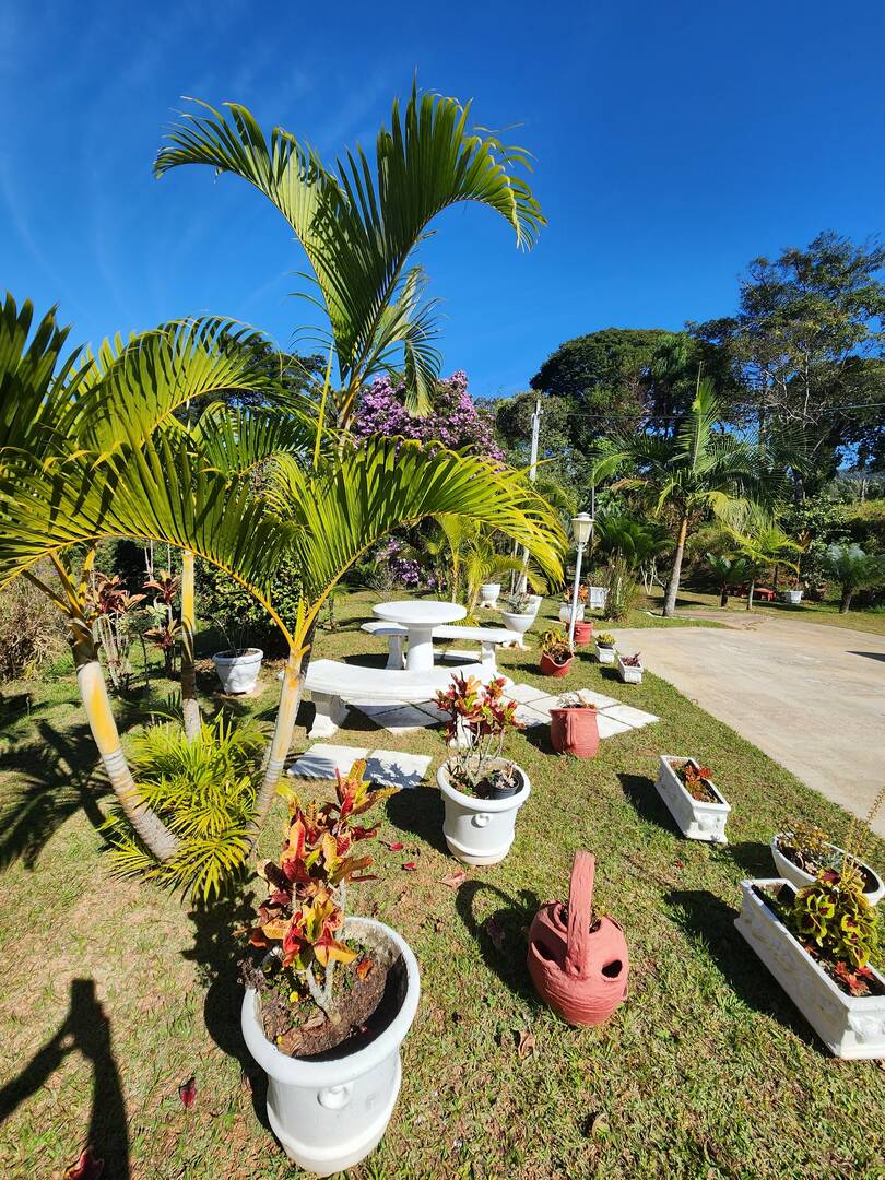 Fazenda à venda com 3 quartos, 35000m² - Foto 9