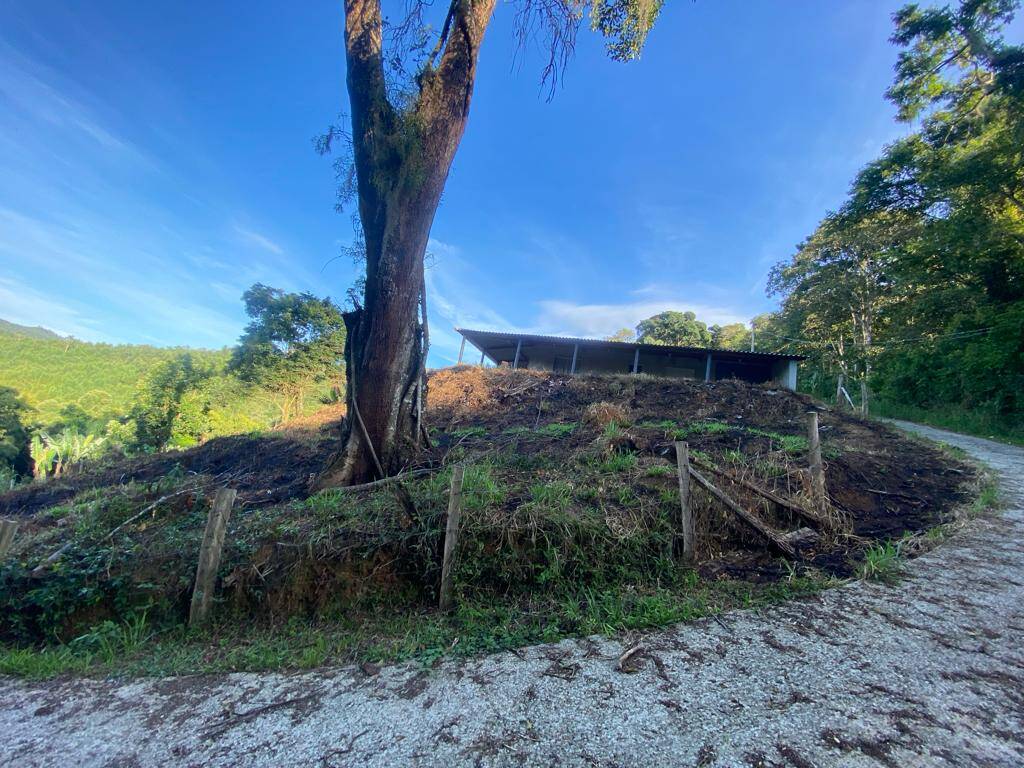 Fazenda à venda com 3 quartos, 1000m² - Foto 10