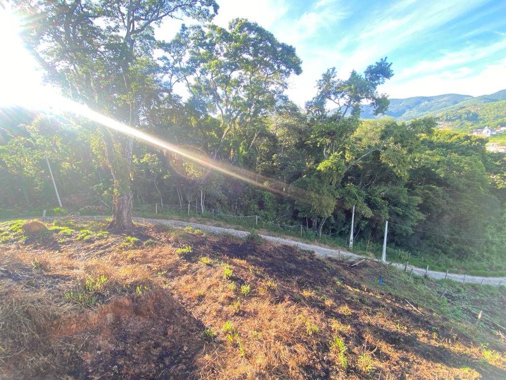 Fazenda à venda com 3 quartos, 1000m² - Foto 14