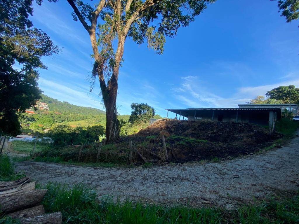 Fazenda à venda com 3 quartos, 1000m² - Foto 11