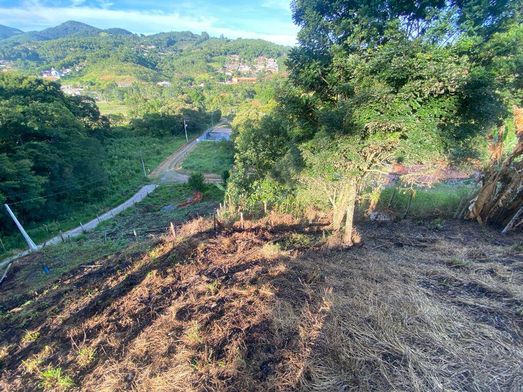 Fazenda à venda com 3 quartos, 1000m² - Foto 15