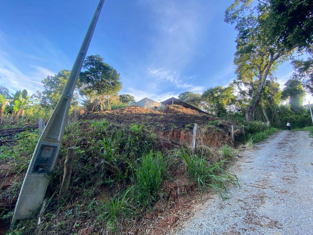 Fazenda à venda com 3 quartos, 1000m² - Foto 18