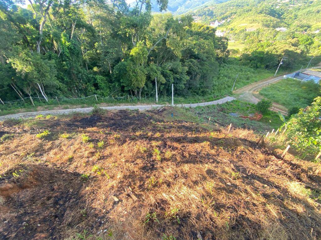 Fazenda à venda com 3 quartos, 1000m² - Foto 16