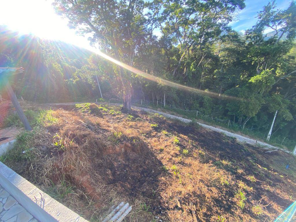 Fazenda à venda com 3 quartos, 1000m² - Foto 31