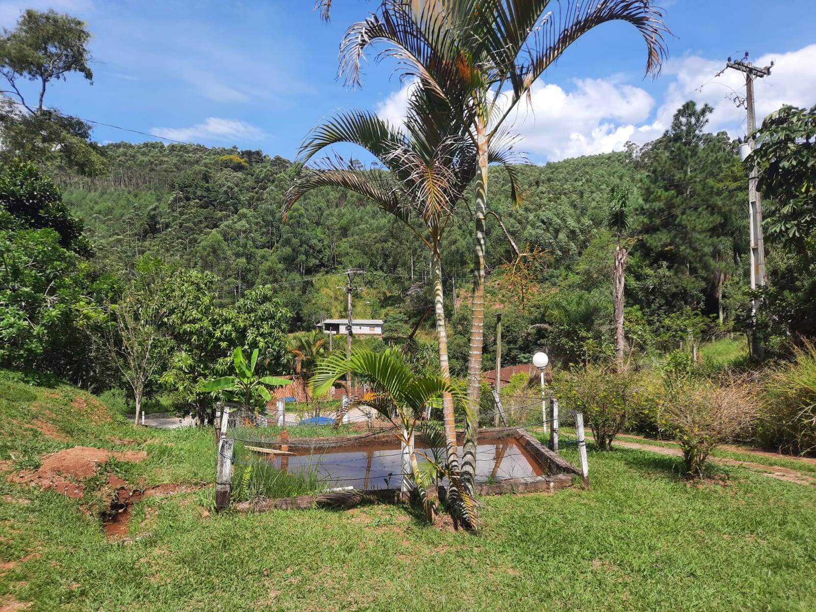 Fazenda à venda com 3 quartos, 170m² - Foto 9