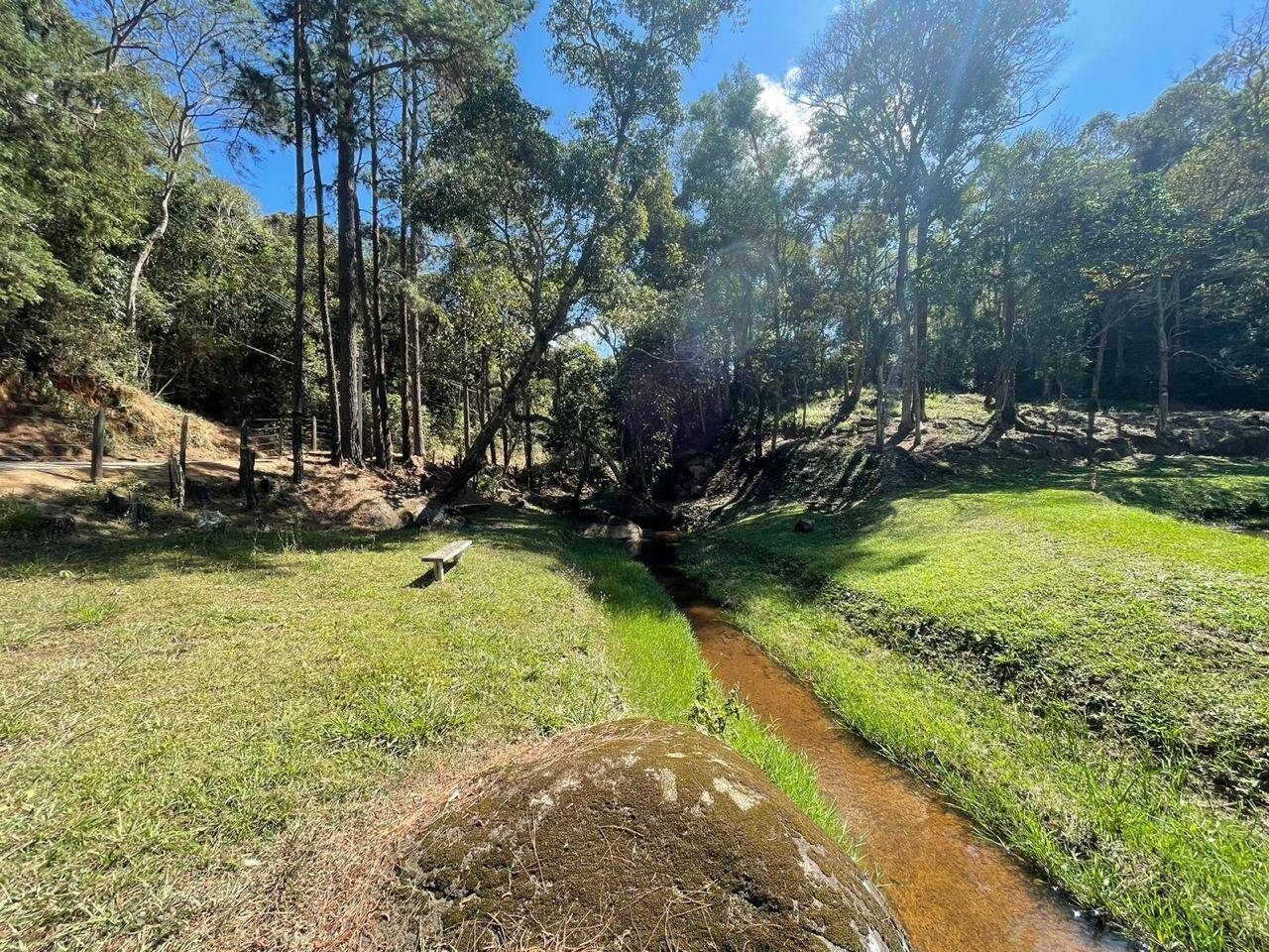 Fazenda à venda com 5 quartos, 24000m² - Foto 12