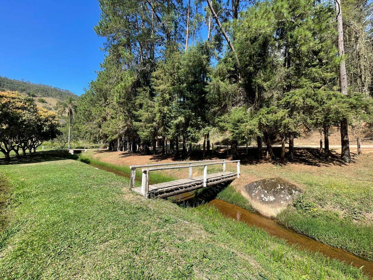 Fazenda à venda com 5 quartos, 24000m² - Foto 19