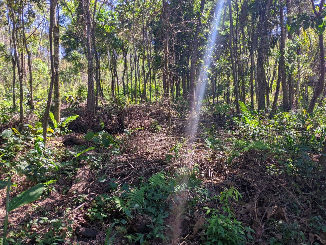 Terreno à venda, 500m² - Foto 3