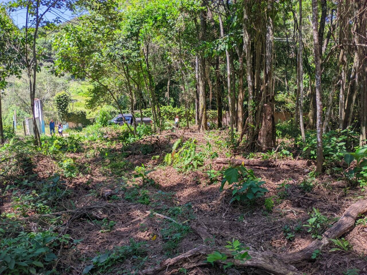 Terreno à venda, 500m² - Foto 5