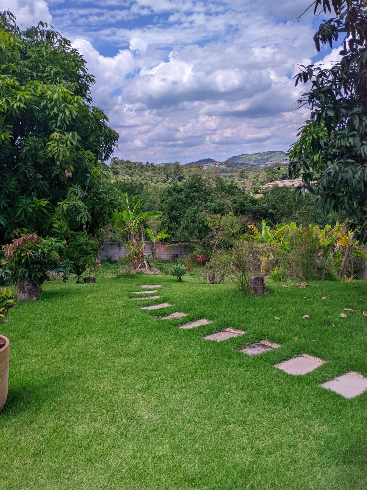 Fazenda à venda e aluguel com 3 quartos, 350m² - Foto 3