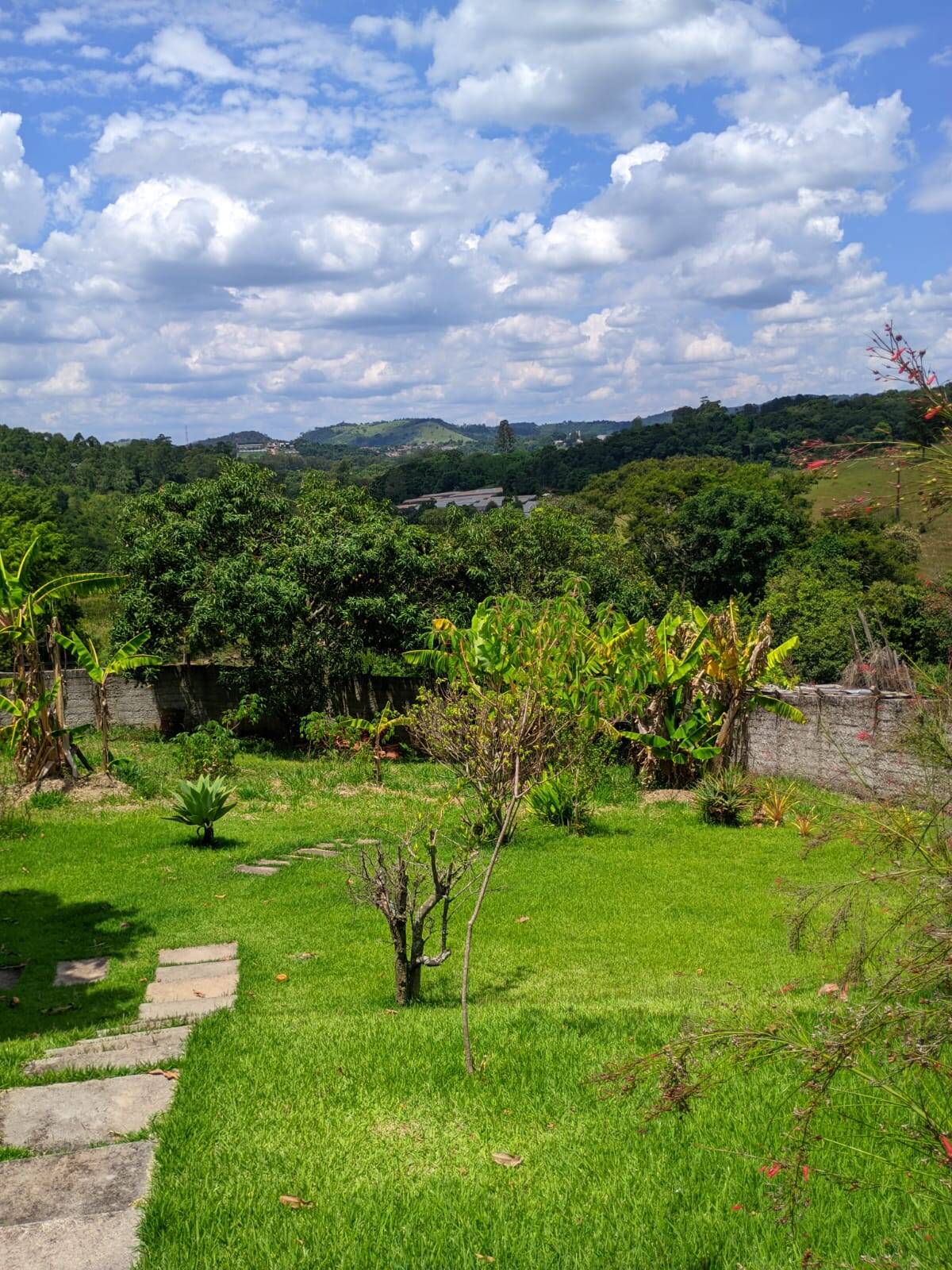 Fazenda à venda e aluguel com 3 quartos, 350m² - Foto 4