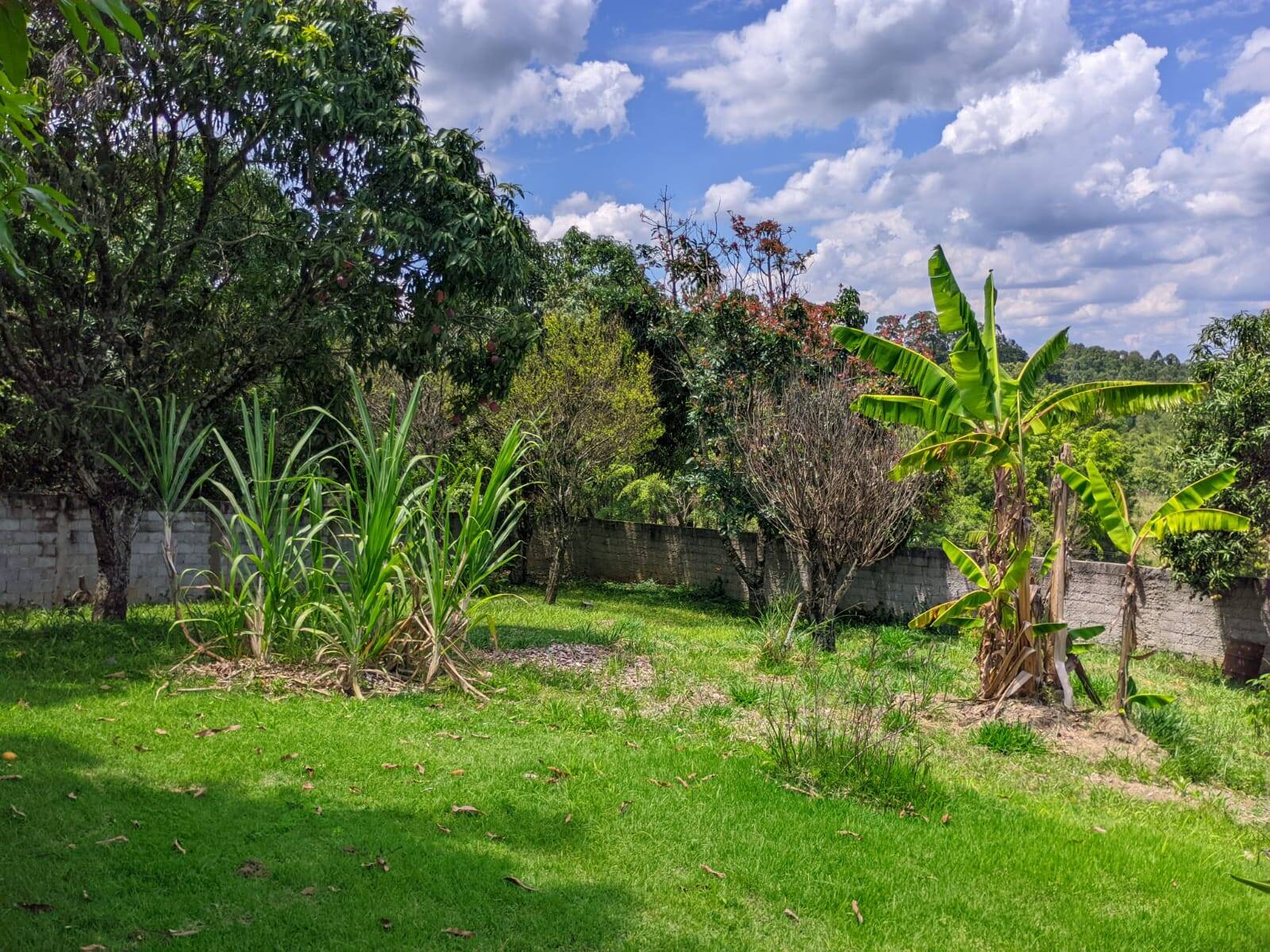 Fazenda à venda e aluguel com 3 quartos, 350m² - Foto 8